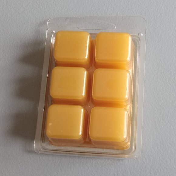 🎯 10 for $10 / Glittering Bayberry Garland Scented Wax Melts - Picture 4 of 6